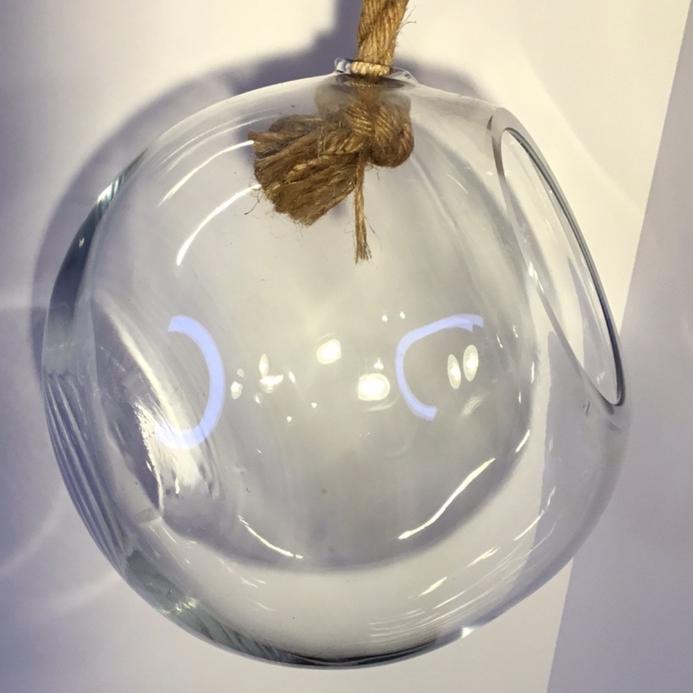 Large Hanging Globe Terrarium With Rope Hanger - Picture 11 of 16